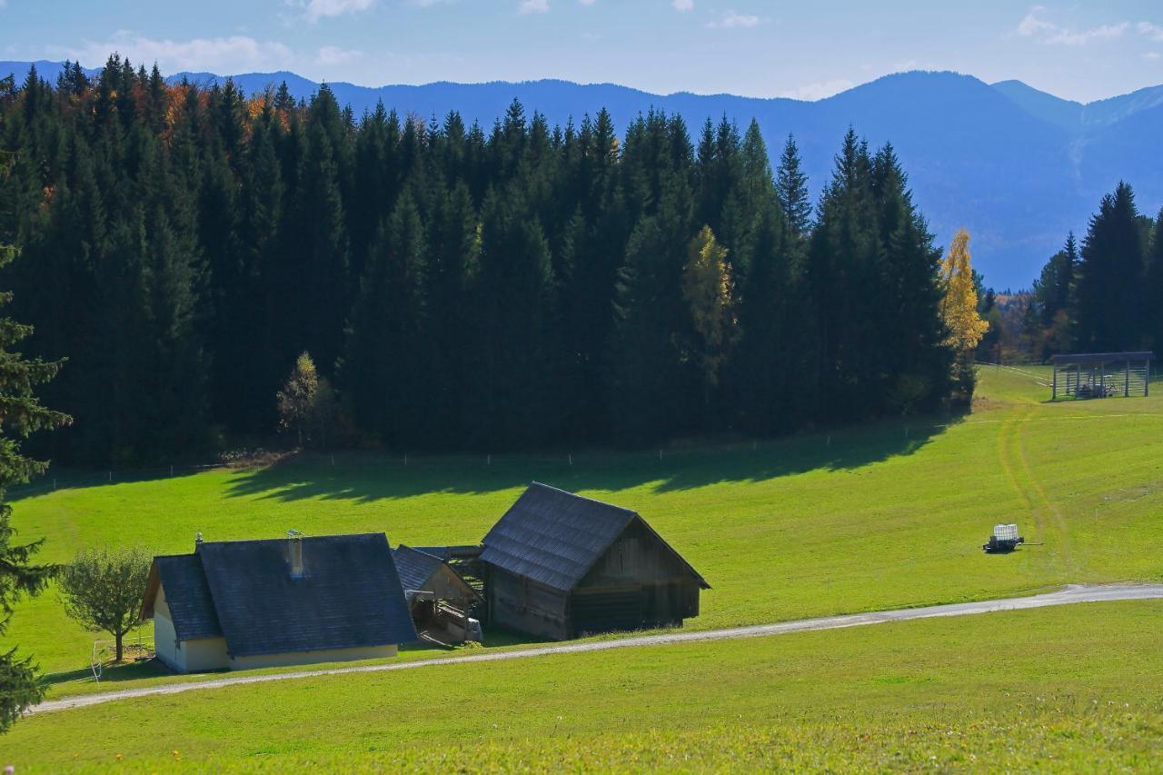 Cottage Zoja Bohinjska Bistrica Kültér fotó