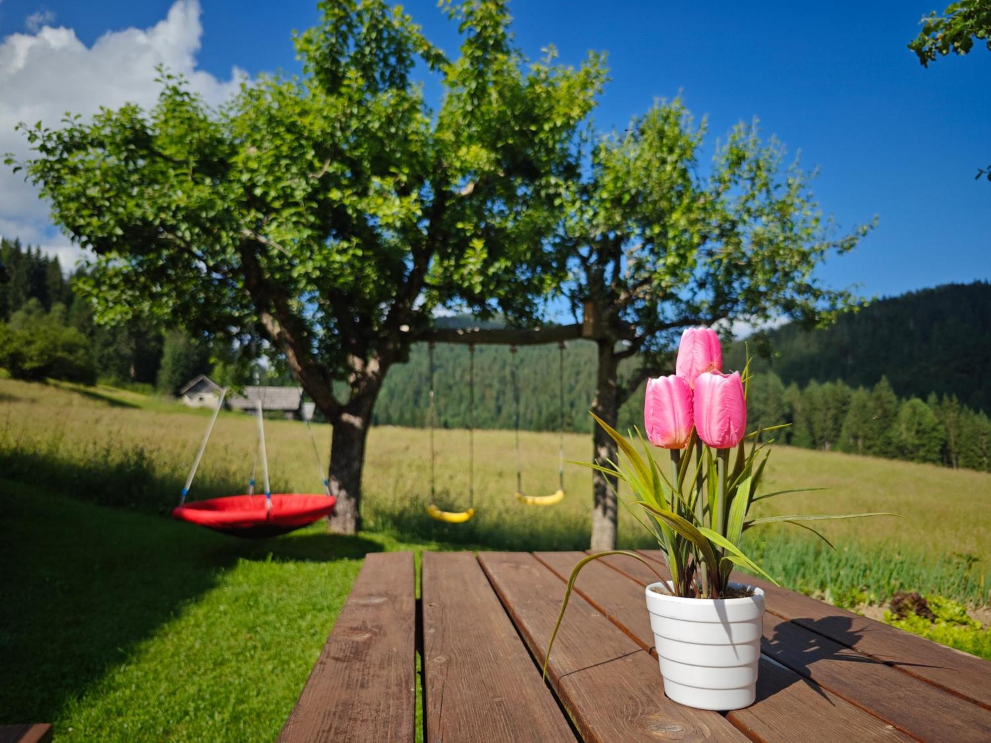 Cottage Zoja Bohinjska Bistrica Kültér fotó